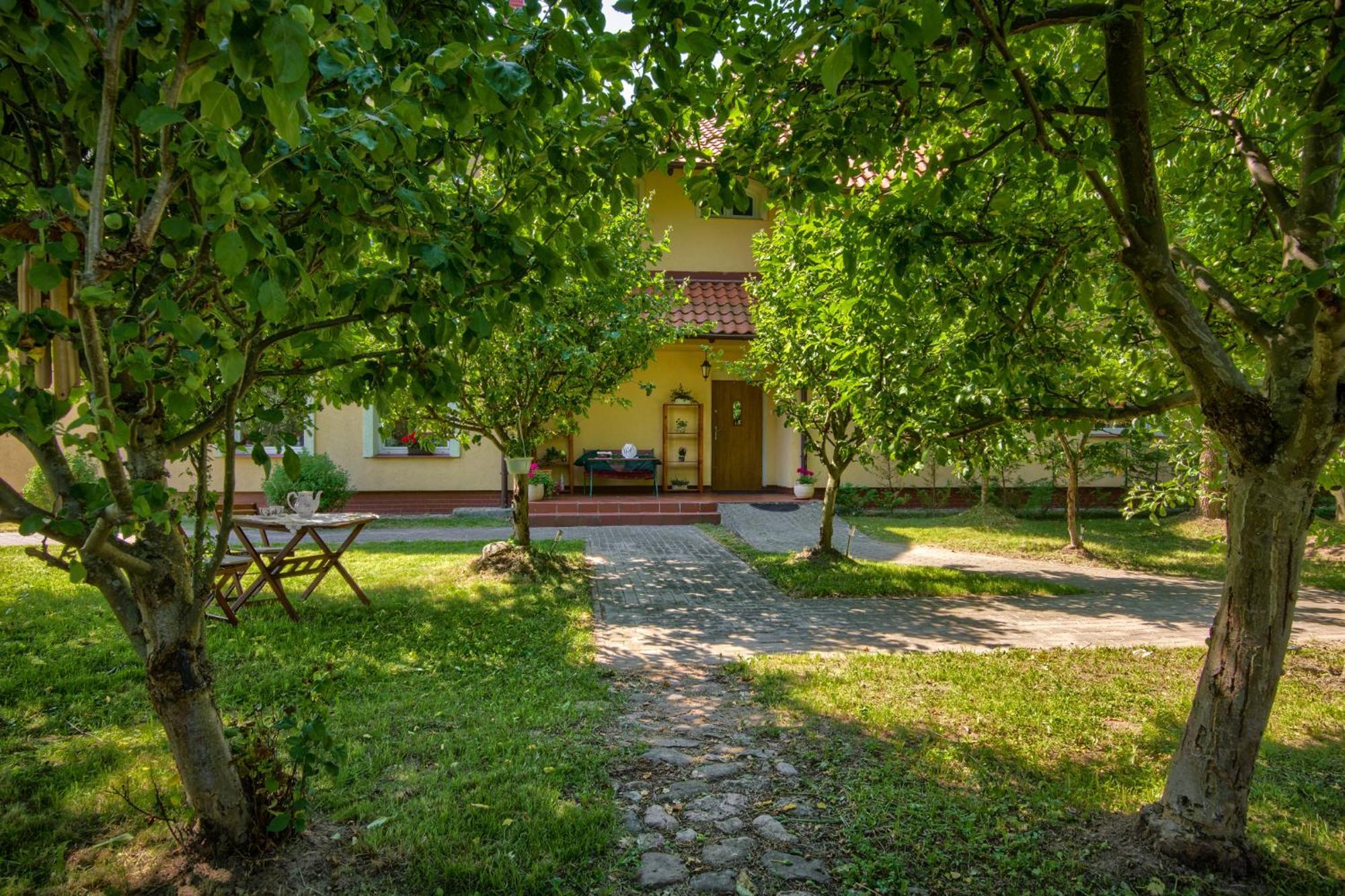 Siedlisko Kromienice Krzywe (Mragowo)
